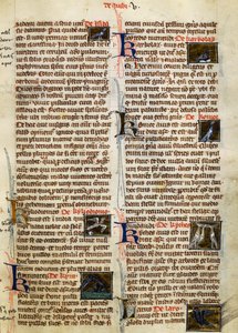 Pagina da De Natura Rerum sugli uccelli da German School