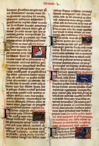 Pagina da De Natura Rerum sugli uccelli da German School