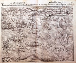 Tavola che rappresenta tutti i tipi di mostri marini e terrestri trovati nelle regioni settentrionali: Xilografia tratta dalla Cosmografia Universale di Sebastien Munster. Basilea da German School