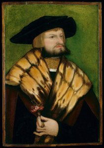 Ritratto di Leonhard Fuchs da German School