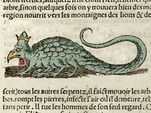 Rappresentazione del mostro mitologico Basilisco. Xilografia tratta dalla Cosmografia Universale di Sebastien Munster. Basilea