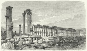 Rovine della città di Palmira, Siria (incisione) da German School