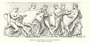 Animali sacrificali nella processione dell