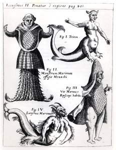 Mostri marini, illustrazione da Physica Curiosa di Gaspar Schott S.J. (1608-66), pubblicata a Würzburg 1662