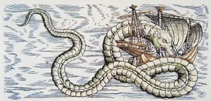 Serpente marino attacca una nave da German School