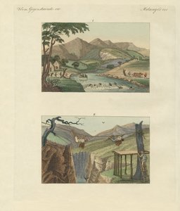 Ponti di corda sudamericani da German School