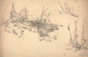 Studio di un cardo, 24 marzo da German School
