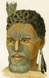 Volto tatuato di un capo Maori, 1894 da German School
