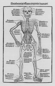 Il Libro di Cirurgia di Hieronymus Brunschwig