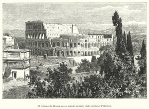 Il Colosseo, Roma, visto dal Palatino