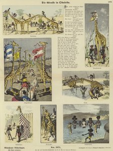 La giraffa in Africa orientale