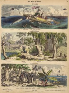Il Pacifico: naufraghi alla deriva su una zattera nei mari del Sud; foresta in Nuova Olanda (Australia); un