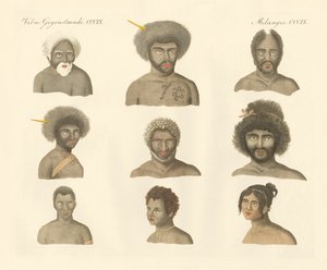 I Papuani
