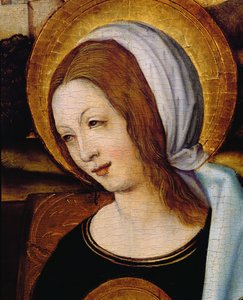 La Vergine Maria