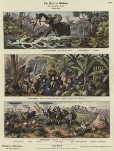 Il mondo in immagini: Africa tedesca