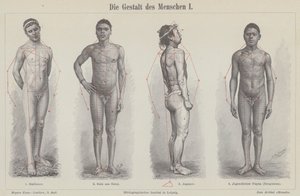 La figura umana da German School