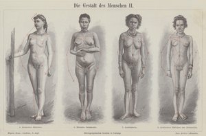 La figura umana da German School