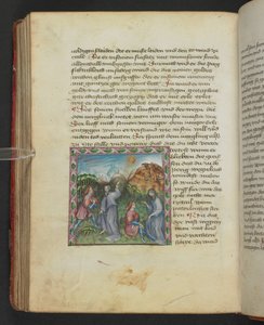 Ulrich von Pottenstein, Das Buch der natürlichen Weisheit, Egerton MS 1121 f.114v, c.1430 da German School