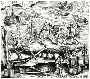Pesca alla balena, da un