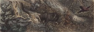 Fauna selvatica della Russia settentrionale