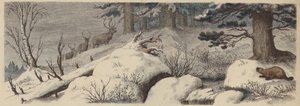 Paesaggio invernale in Canada