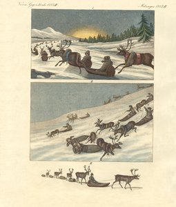 Viaggi invernali in Lapponia