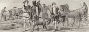 Lavoro e occupazioni nell