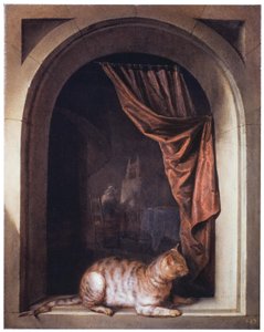 Gatto su un cornicione da Gerrit Dou