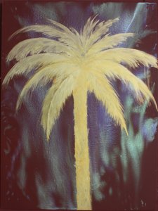 Palma d