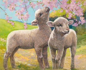 Due agnelli che mangiano fiori (gouache su carta)