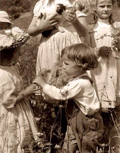 Giorni felici 1902