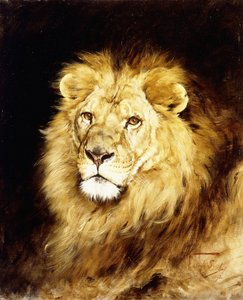 La testa di un leone