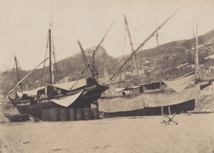 Salerne da Giacomo Caneva