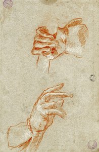 Studio di mani