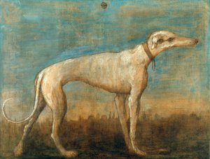 Il levriero italiano da Giambattista Tiepolo