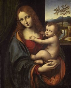 Vergine e Bambino, 1510-1525 da Giampietrino