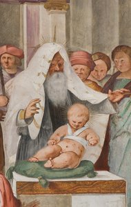 Navata centrale, quinta campata nord, Presentazione al Tempio, Gian Francesco Bembo