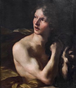 Davide da Gian Lorenzo Bernini