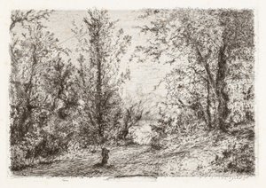 Foresta sul Lago Maggiore da Giberto Borromeo