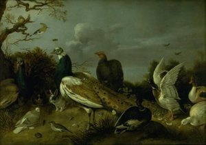 Pavoni, anatre e altri animali da Gijsbert Gillisz. de Hondecoeter