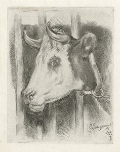 Testa di una mucca da Gijsbertus Craeyvanger
