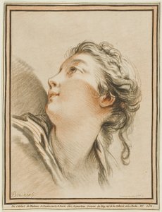 Testa di donna