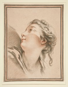 Testa di una donna