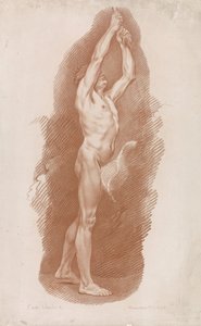 Nudo maschile in piedi
