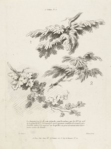 Studio di tre rami con foglie (1er Cahier de paysage) da Gilles Demarteau