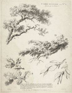 Studio di rami con foglie (serie: Primo quaderno di paesaggi) da Gilles Demarteau
