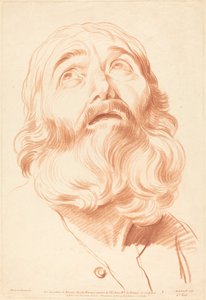 Testa di un uomo