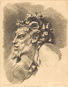 Testa di un fauno
