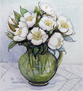 Rose di Natale, 1984
