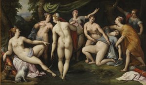 Diana che scopre la gravidanza di Callisto da Gillis Coignet